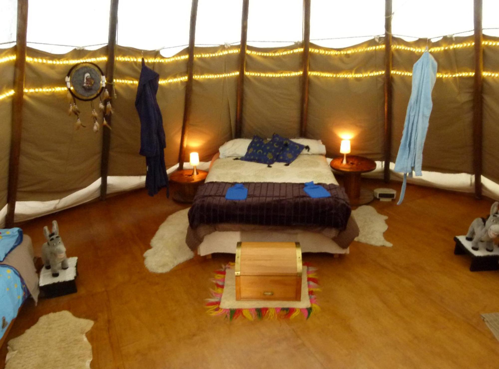Wacky Stays - Unique Farm-Stay Glamping Rentals, Free Animal Feeding Tours Кайкура Екстериор снимка