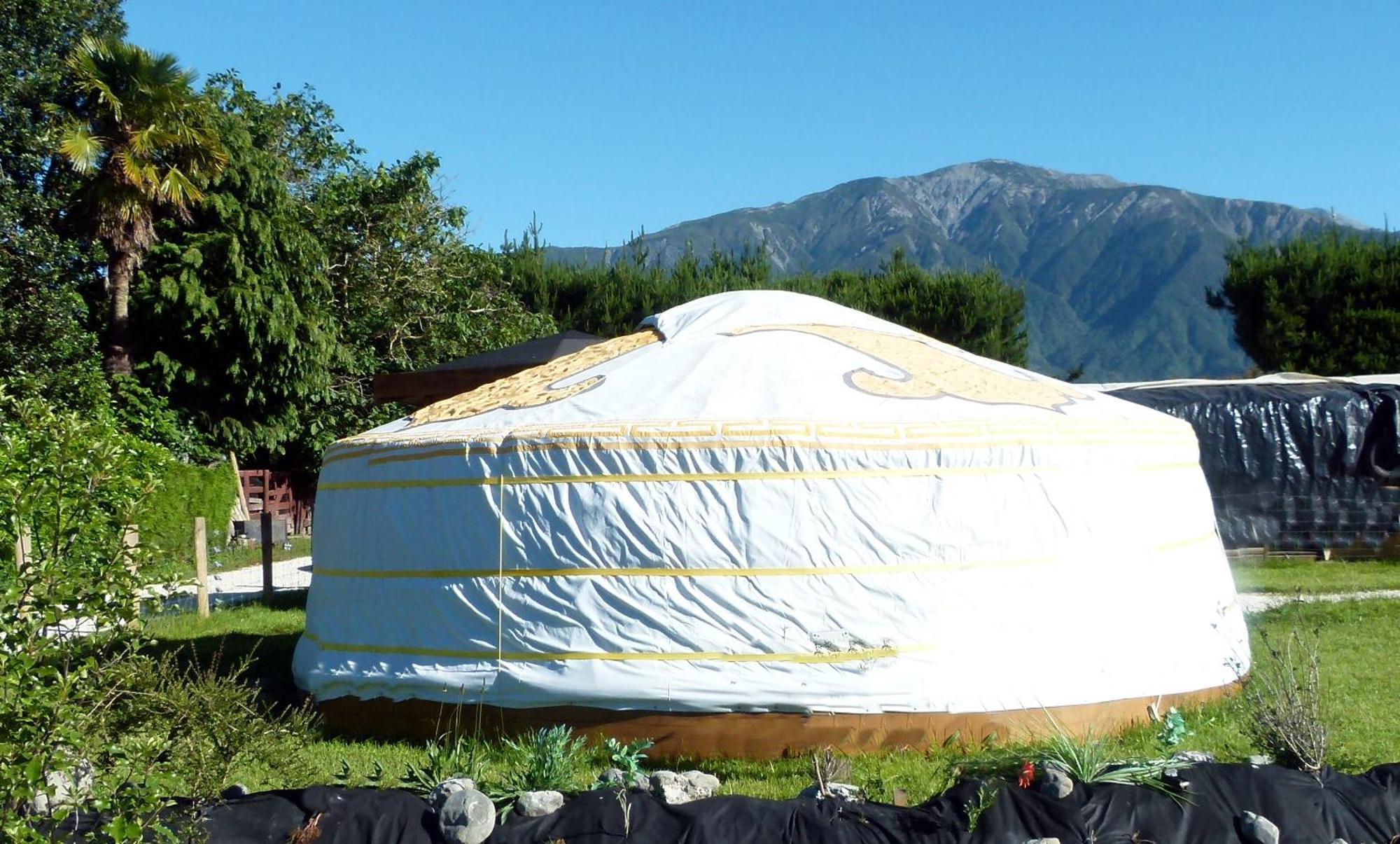 Wacky Stays - Unique Farm-Stay Glamping Rentals, Free Animal Feeding Tours Кайкура Екстериор снимка