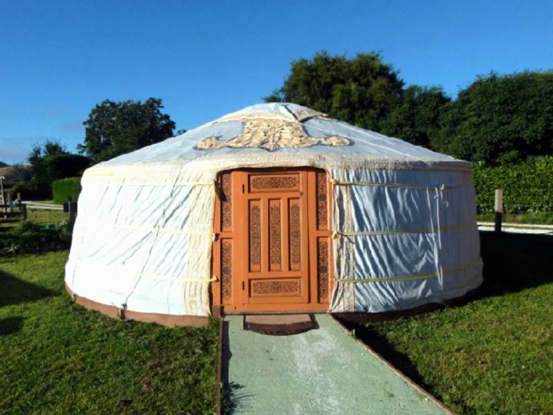 Wacky Stays - Unique Farm-Stay Glamping Rentals, Free Animal Feeding Tours Кайкура Екстериор снимка