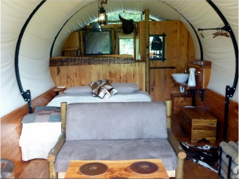 Wacky Stays - Unique Farm-Stay Glamping Rentals, Free Animal Feeding Tours Кайкура Екстериор снимка