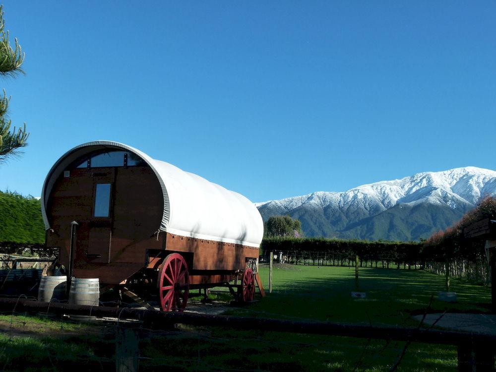 Wacky Stays - Unique Farm-Stay Glamping Rentals, Free Animal Feeding Tours Кайкура Екстериор снимка