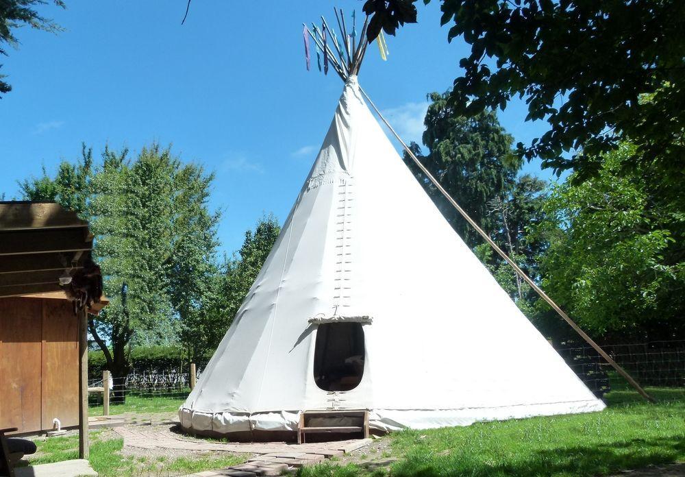 Wacky Stays - Unique Farm-Stay Glamping Rentals, Free Animal Feeding Tours Кайкура Екстериор снимка