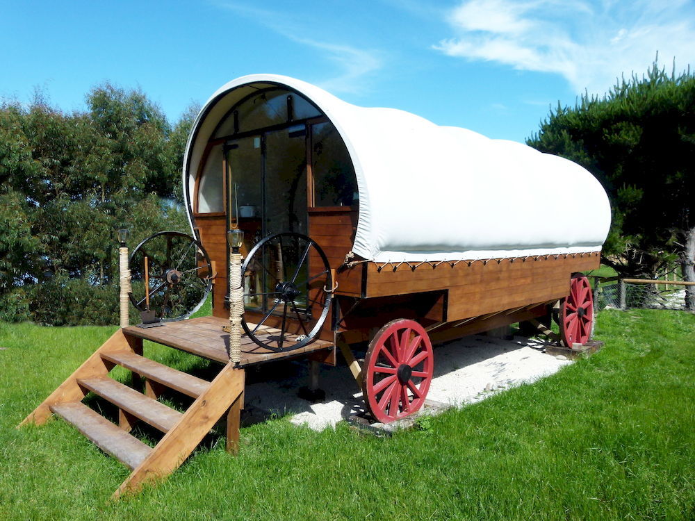 Wacky Stays - Unique Farm-Stay Glamping Rentals, Free Animal Feeding Tours Кайкура Екстериор снимка