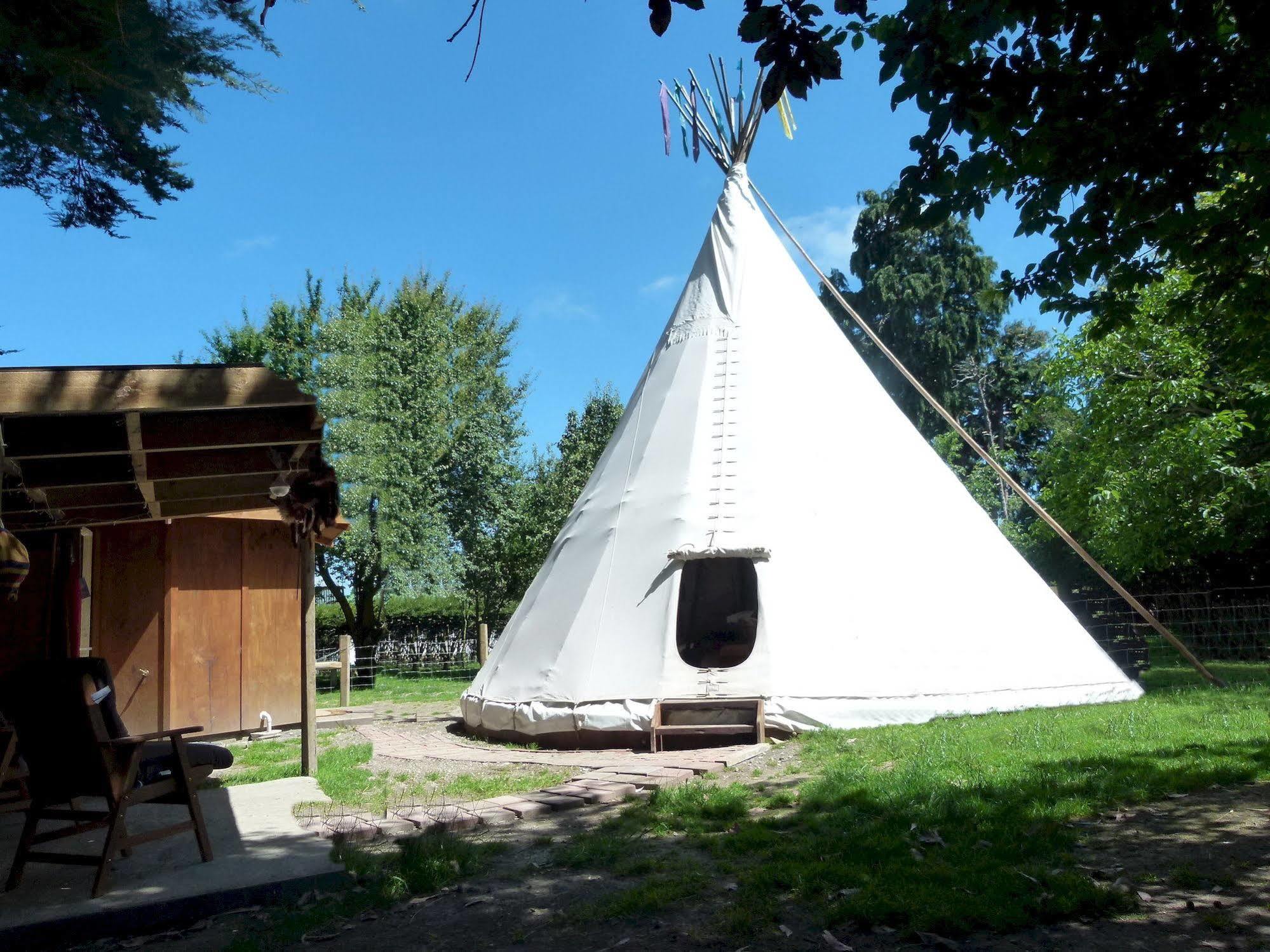 Wacky Stays - Unique Farm-Stay Glamping Rentals, Free Animal Feeding Tours Кайкура Екстериор снимка