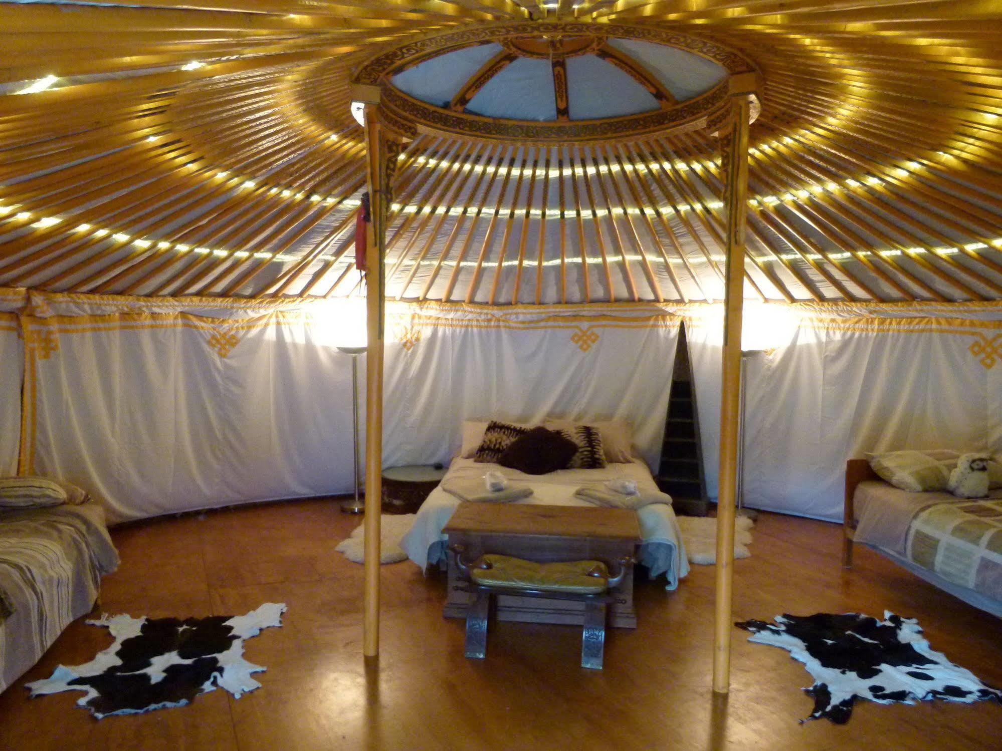 Wacky Stays - Unique Farm-Stay Glamping Rentals, Free Animal Feeding Tours Кайкура Екстериор снимка