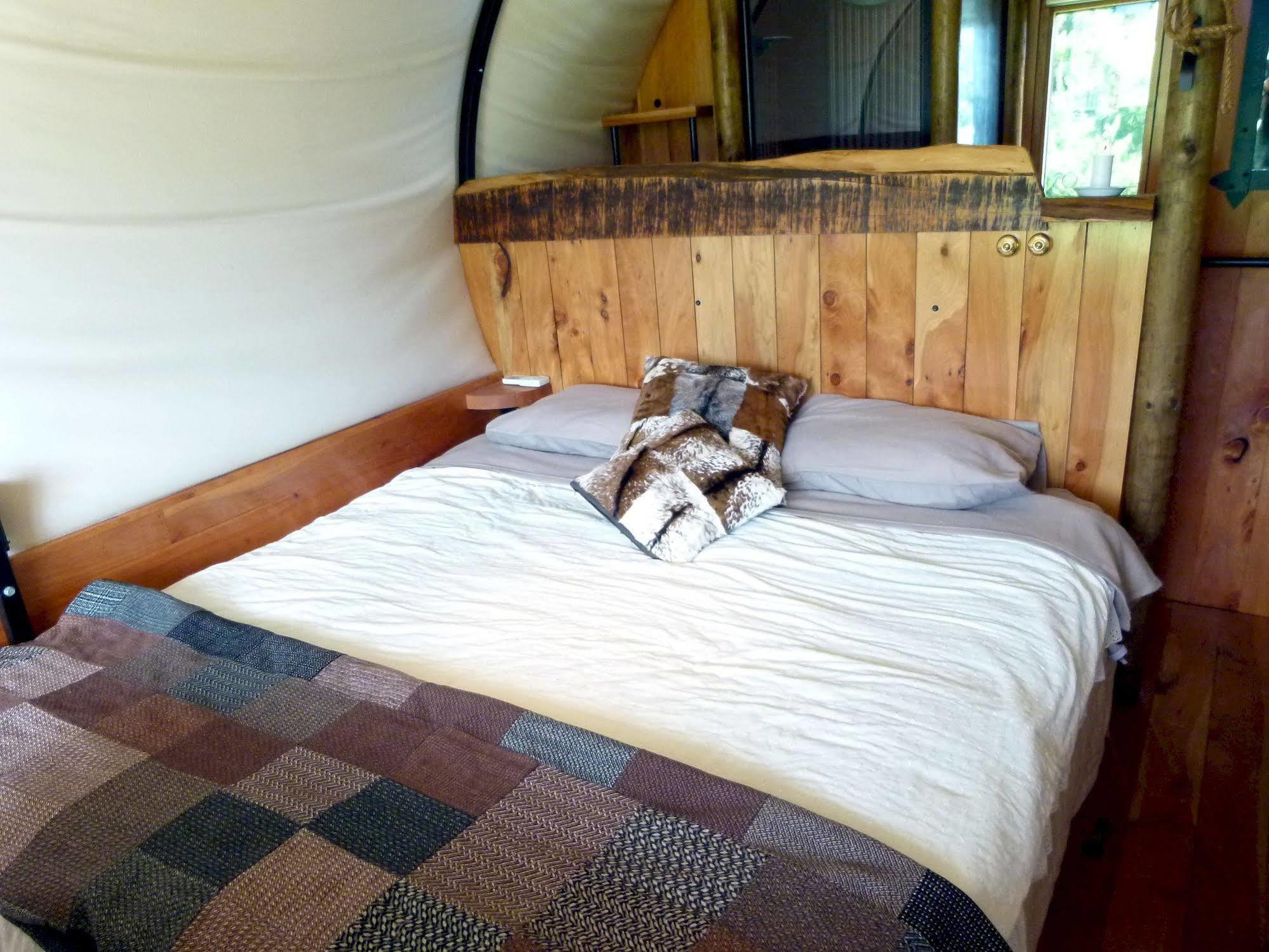 Wacky Stays - Unique Farm-Stay Glamping Rentals, Free Animal Feeding Tours Кайкура Екстериор снимка
