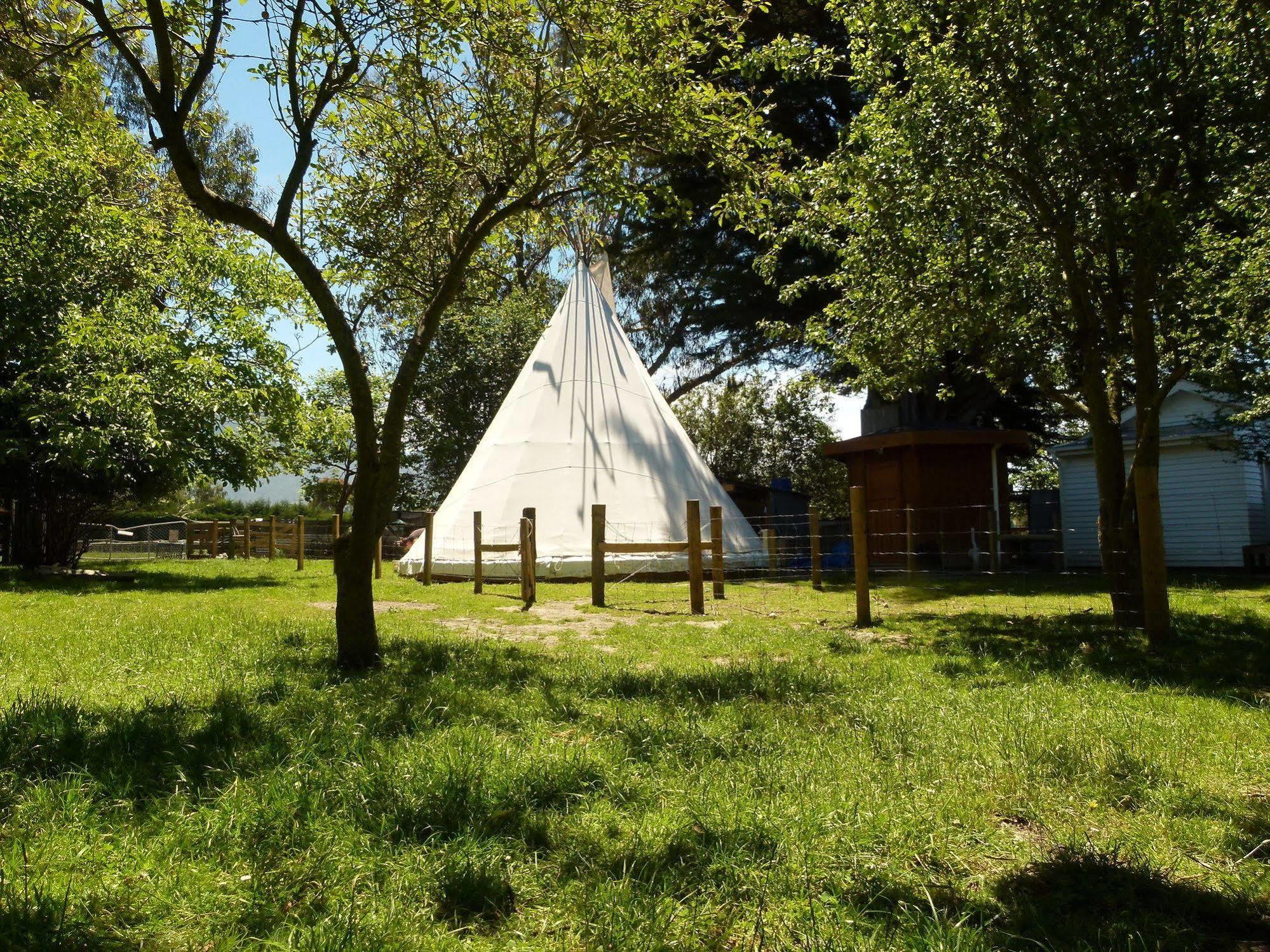 Wacky Stays - Unique Farm-Stay Glamping Rentals, Free Animal Feeding Tours Кайкура Екстериор снимка