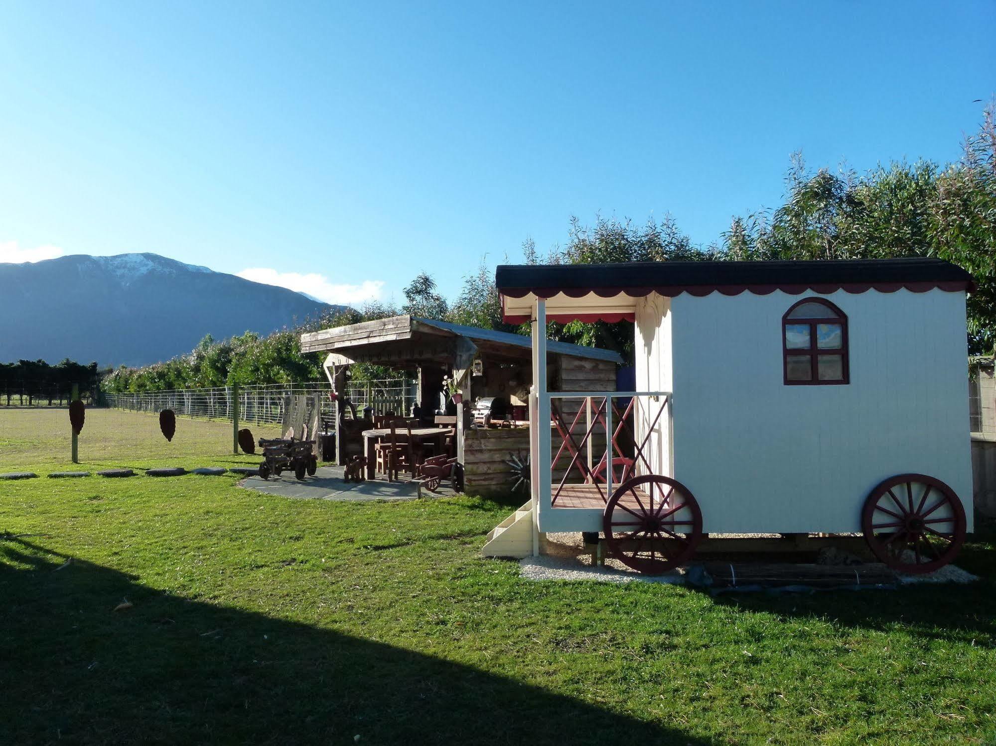 Wacky Stays - Unique Farm-Stay Glamping Rentals, Free Animal Feeding Tours Кайкура Екстериор снимка